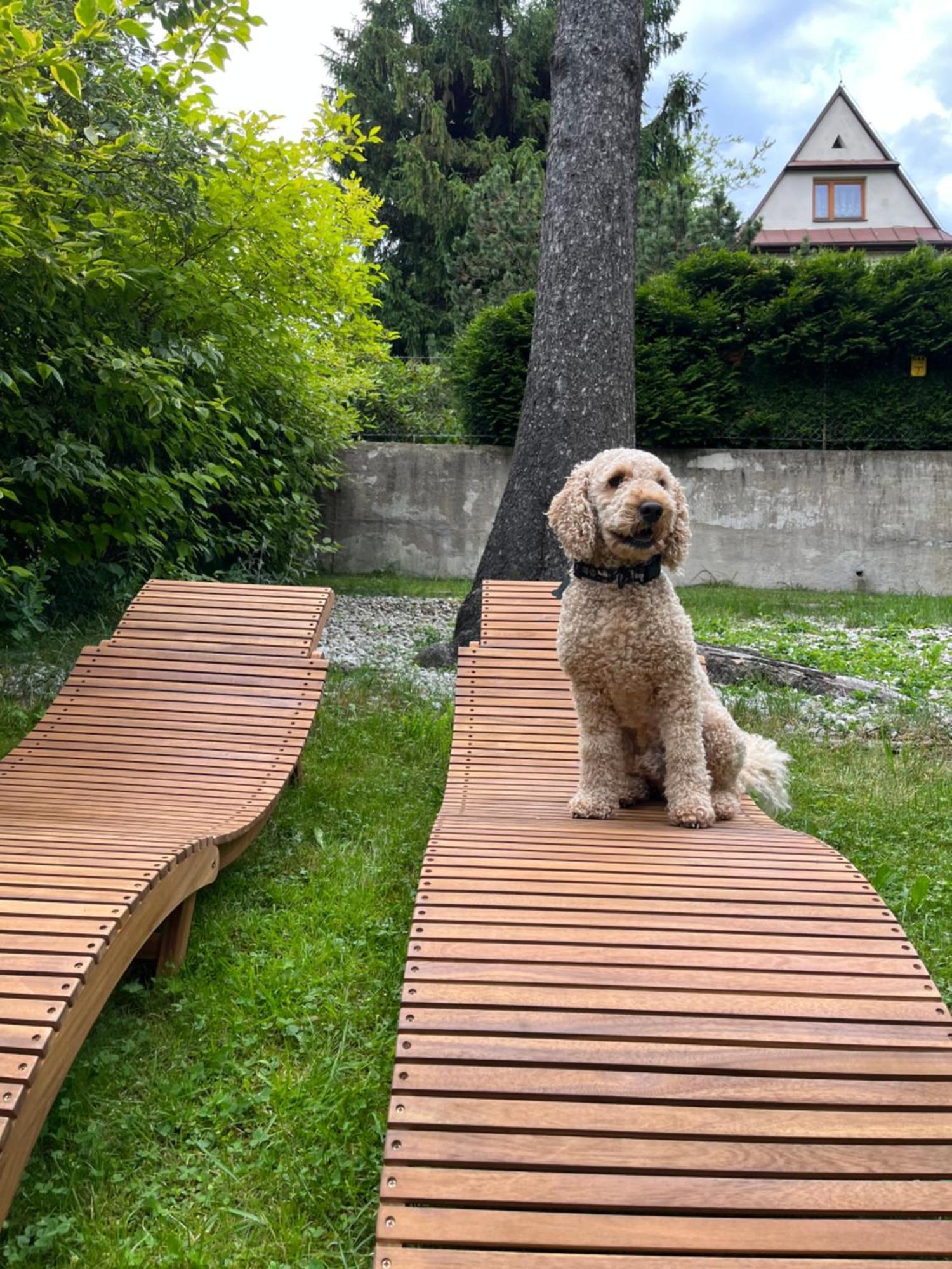 Privatunterkunft Willa Apart Zakopane
